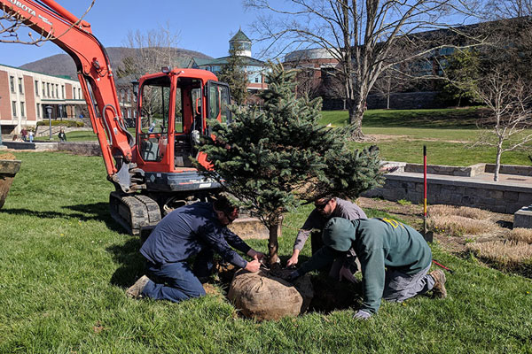 On Arbor Day, welcome new trees donated to Appalachian